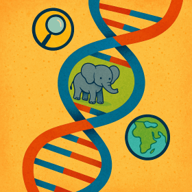 The DNA Detectives: How Science Solves Real-Life Mysteries